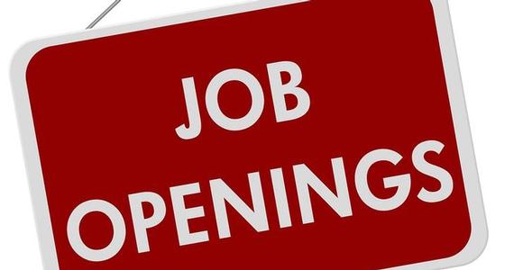 Job Vacancies at DeRuyter Central